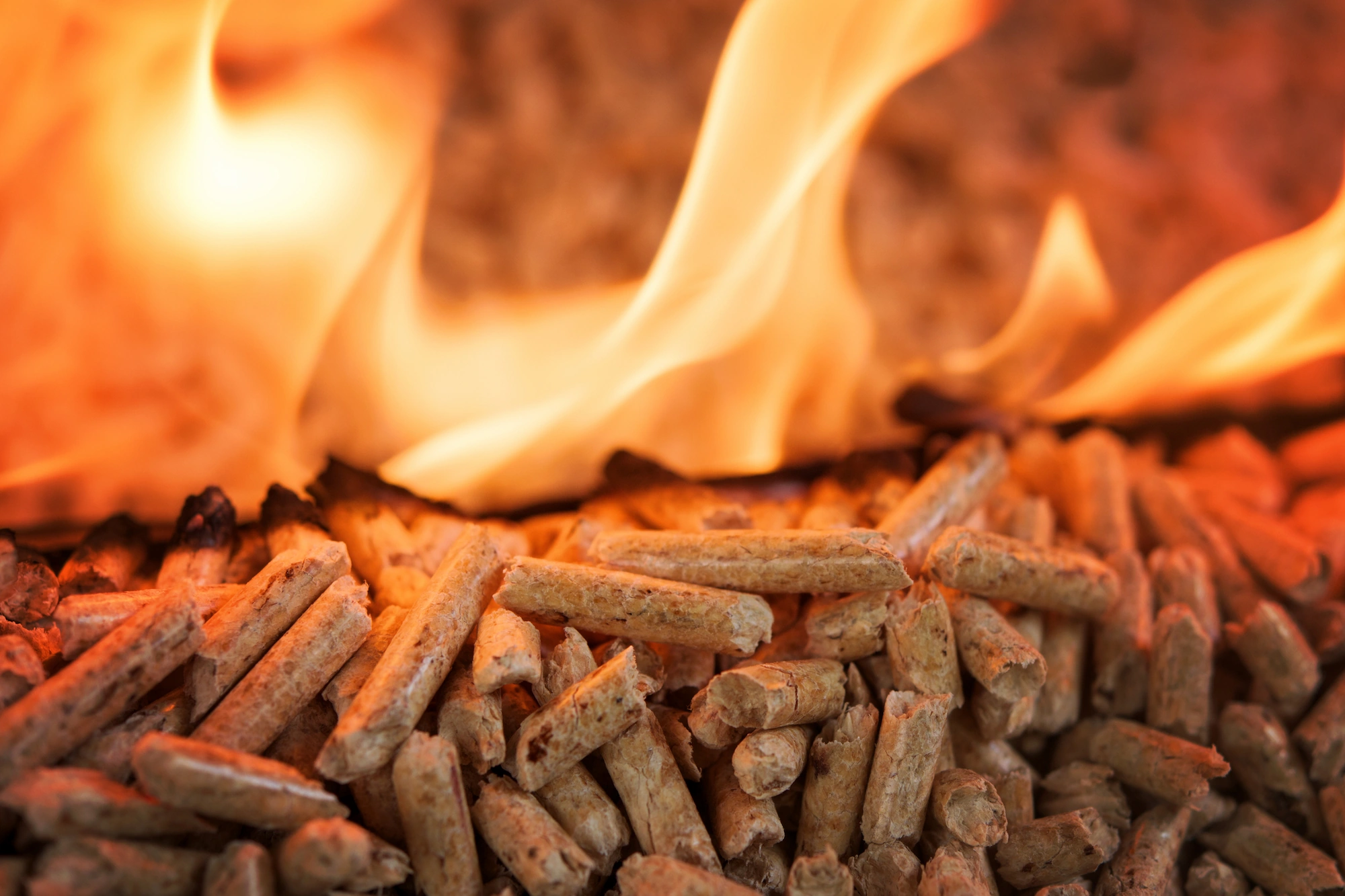 houtpellets