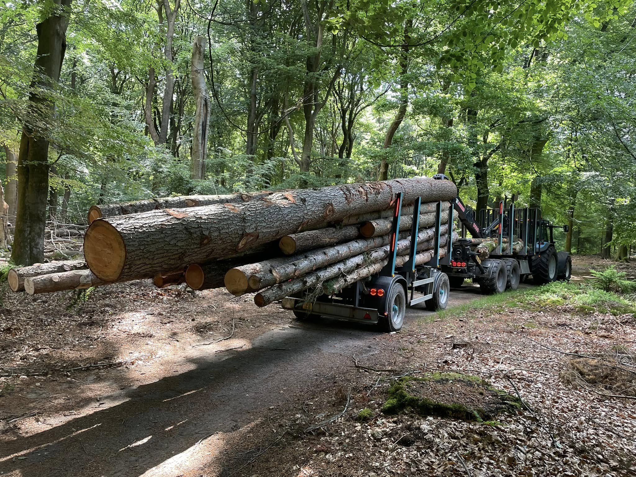 Hout transport